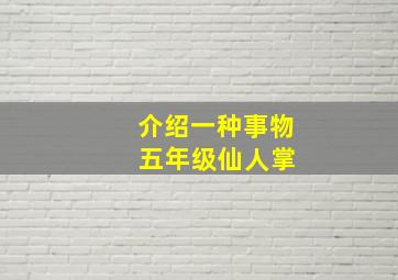 介绍一种事物 五年级仙人掌